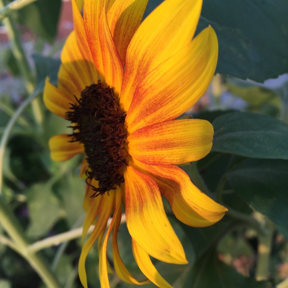 Meet your Posher, Catherine